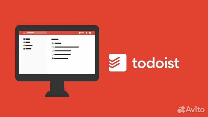 Todoist Pro 6 месяцев