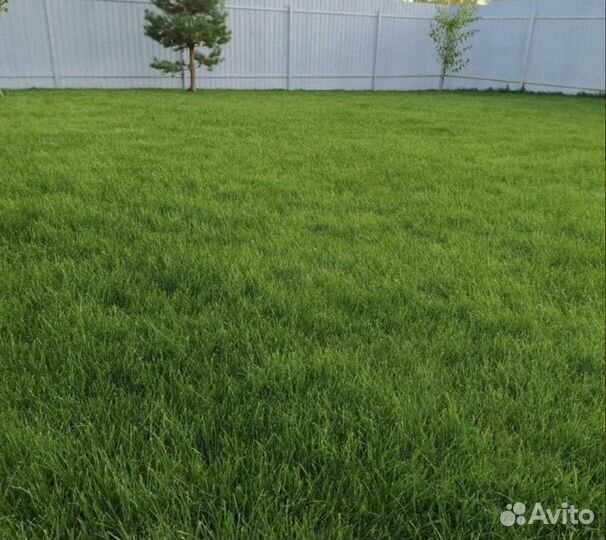 Вспашка земли, фрезеровка,уплотнение почвы, газон