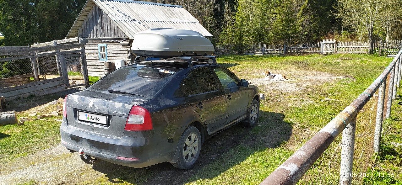 Skoda Octavia: фото владельца