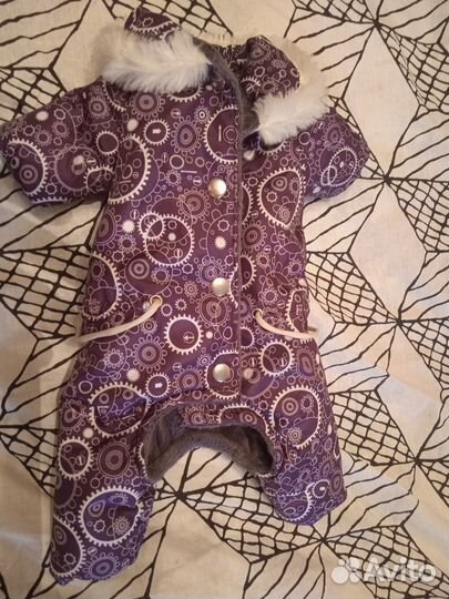 Костюм зимний для маленькой собачки девочки