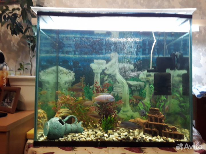 Аквариум