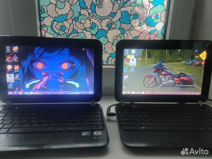 Два нетбука hp mini 110