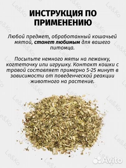 Кошачья мята