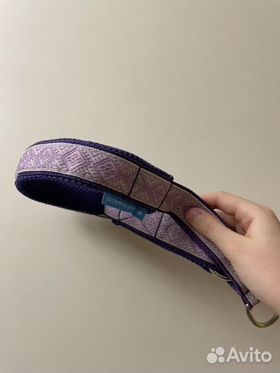 Амуниция для собак