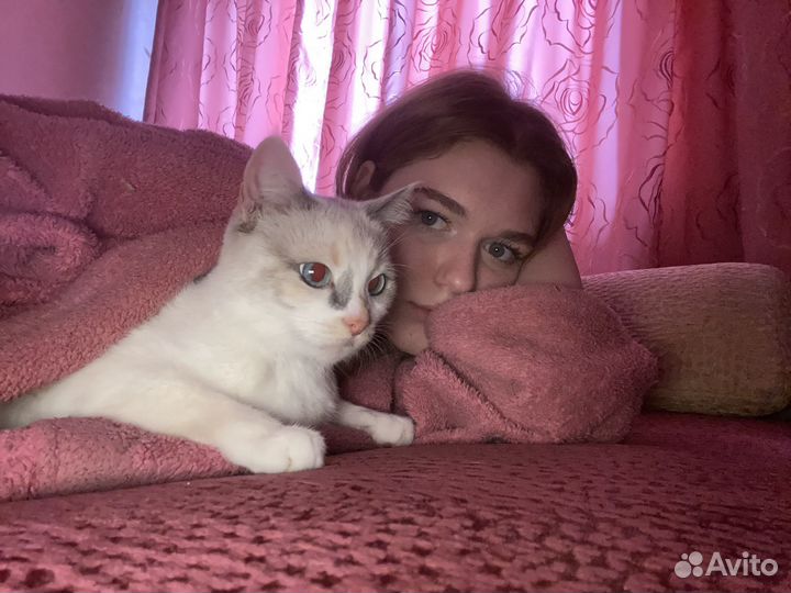 Передержка животных