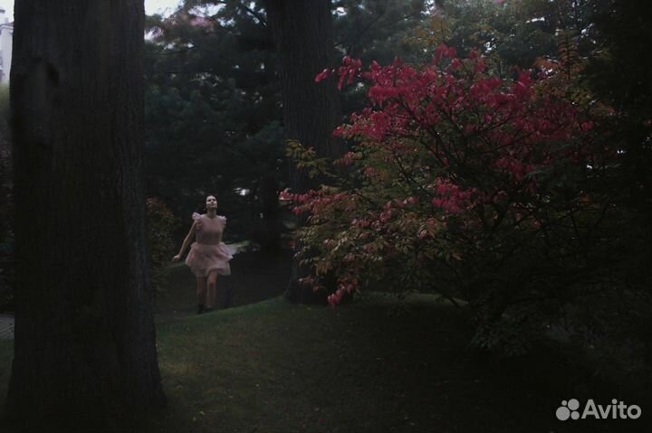 Фотограф/видеограф