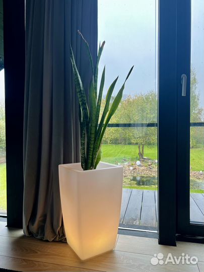 Кашпо для улицы или дома с подсветкой