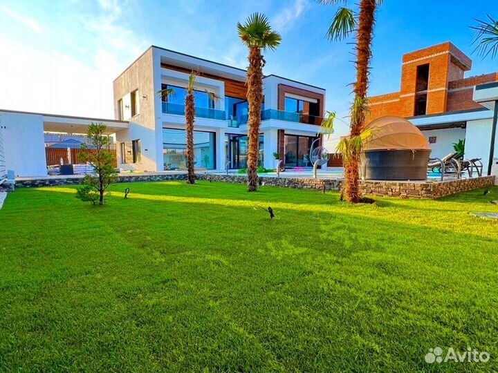 Газон в рулонах живой