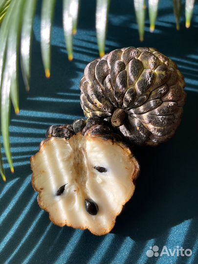 Семена экзотических растений