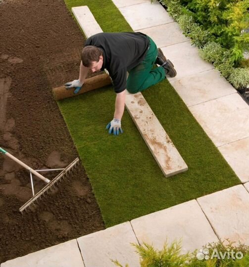 Рулонный газон под ключ