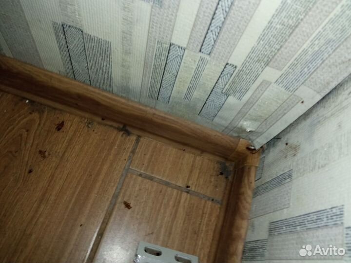 Дезинфекция дезинсекция клещей тараканов клопов