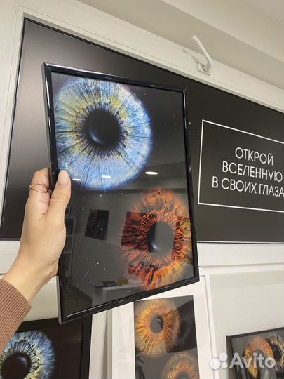 Необычный подарок на праздник