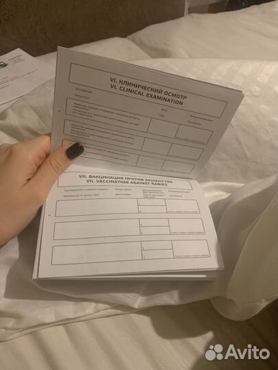 Ветеринарный паспорт