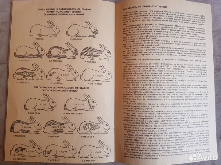 Памятка кроликовода. Портнов Г. -1974