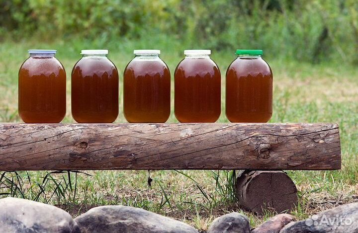 Мёд Липовый Акация Донник оптом от 100 кг