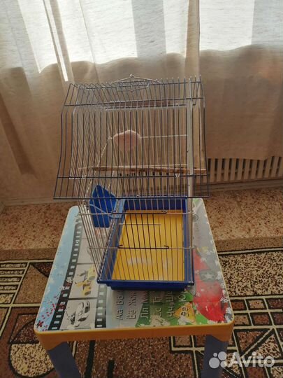 Клетка для попугая