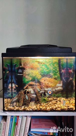 Аквариум 40л