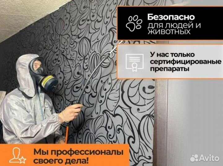 Уничтoжeние тapaканов, кротoв, клопoв. Дезинфeкция