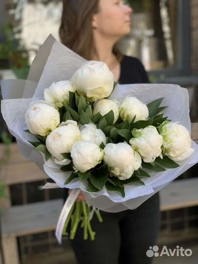 Пионы белые