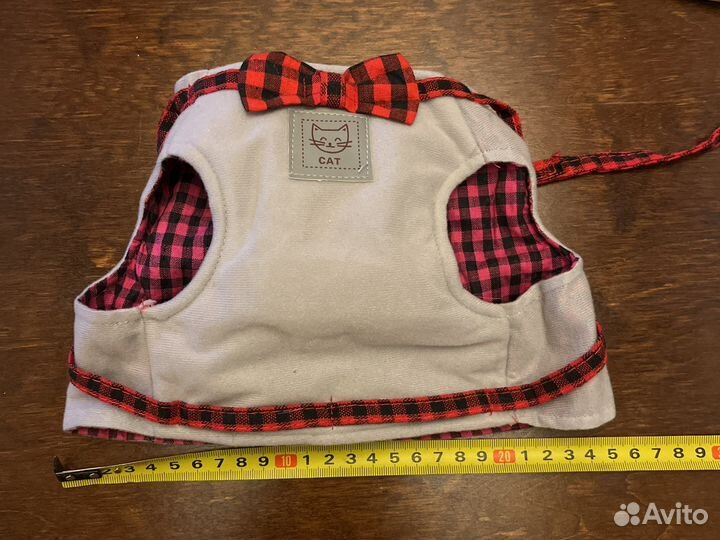 Одежда и намордник для кота. Шлейка для хорька