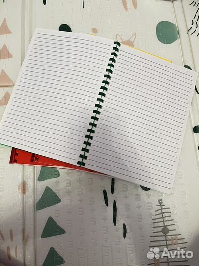 Амбарная книга (книга учета)