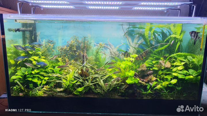 Аквариум с оборудованием
