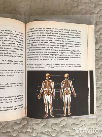 Учебник природоведение 3,5 класс 1992 г