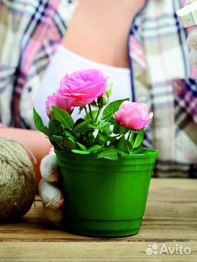 Грунт для розы 5 л