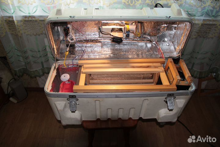 Инкубатор автоматический для вывода пчеломаток