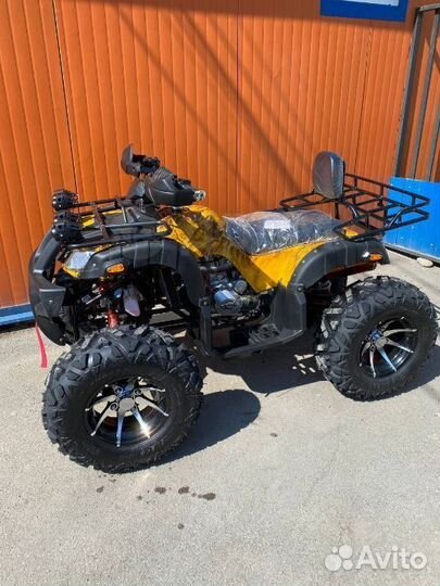 Квадроцикл Grizzly 300cc желтый кмф