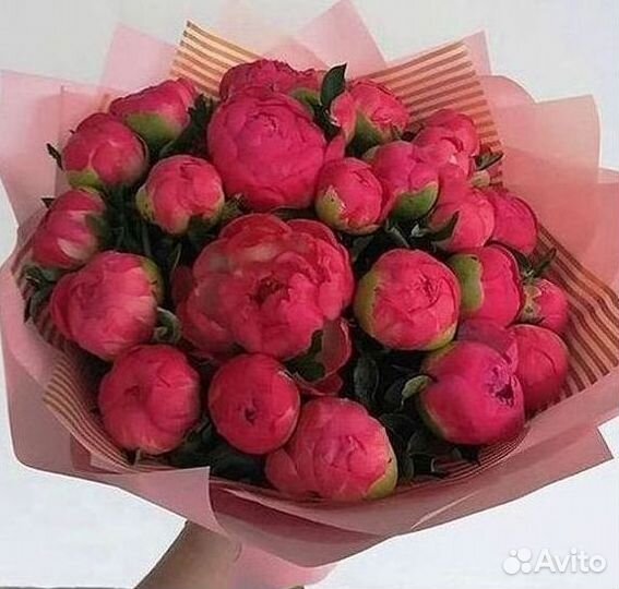 Пионы Букеты Цветы Доставка