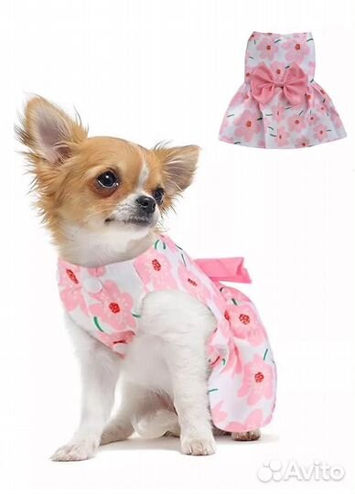 Летние платья для собак маленьких пород
