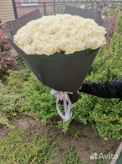 Букет роз. Розы