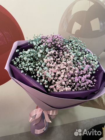 Букет Цветы Гипсофила Живые цветы