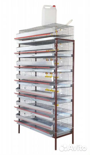 Клетки для перепелов бу