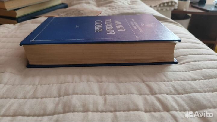 Малый толковый словарь