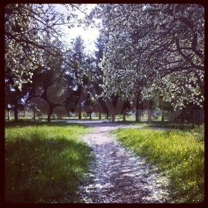 Участок 25 сот. (ИЖС)