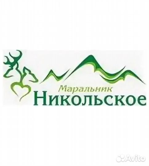 Горничные на базу отдыха на летний сезон