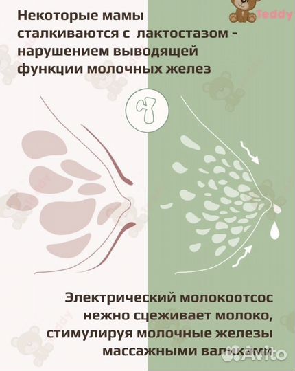 Молокоотсос электрический