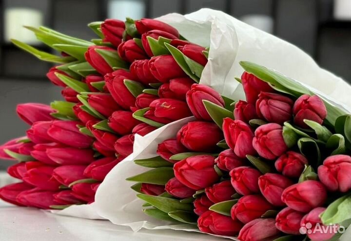 Тюльпаны оптом с теплицы