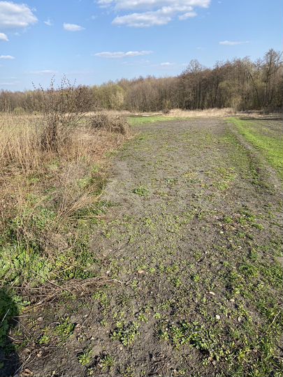 Дом 32,9 м² на участке 23 сот.