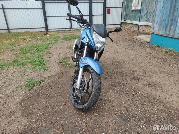 Stels Flex 250