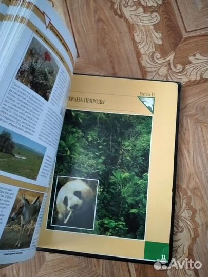 Карточки-энциклопедия