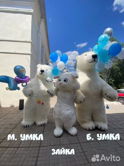 Аэромедведи, гигантские мишки, ростовые фигуры