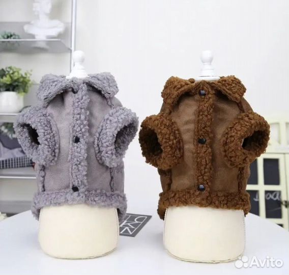 Одежда для собак