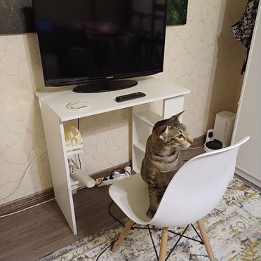 Стол + стул в идеальном состоянии