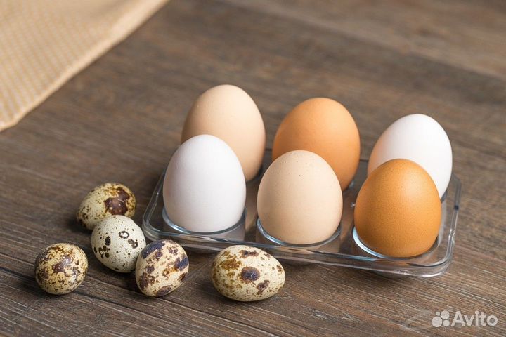 Вахта для всех / принимаем пенсионеров / Упаковщик