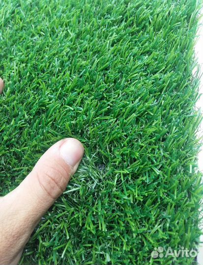 Низкорослый газон - Аlena.park