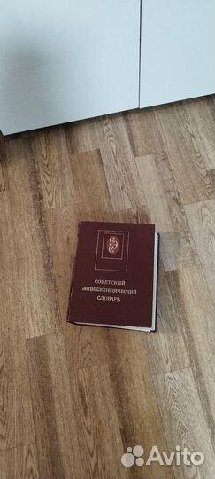 Советский энциклопедический словарь