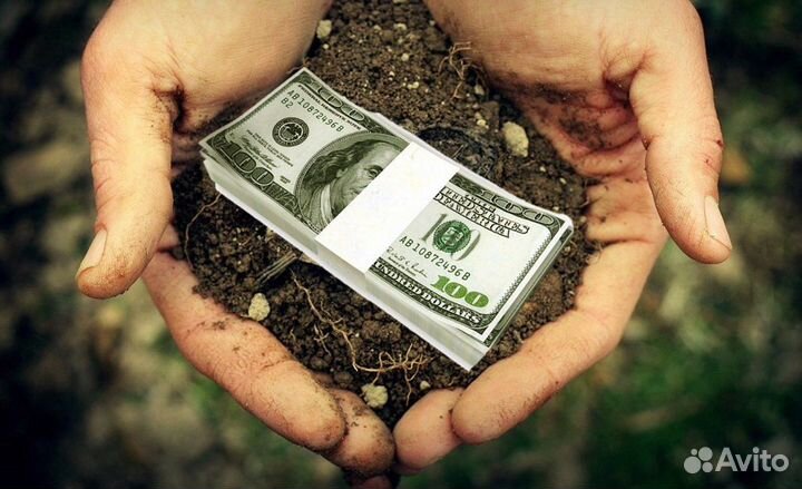 Помогу взять землю в аренду у государства